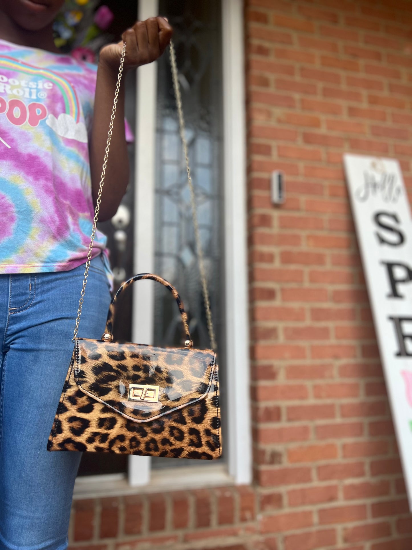 Leopard Print Handbag -Small